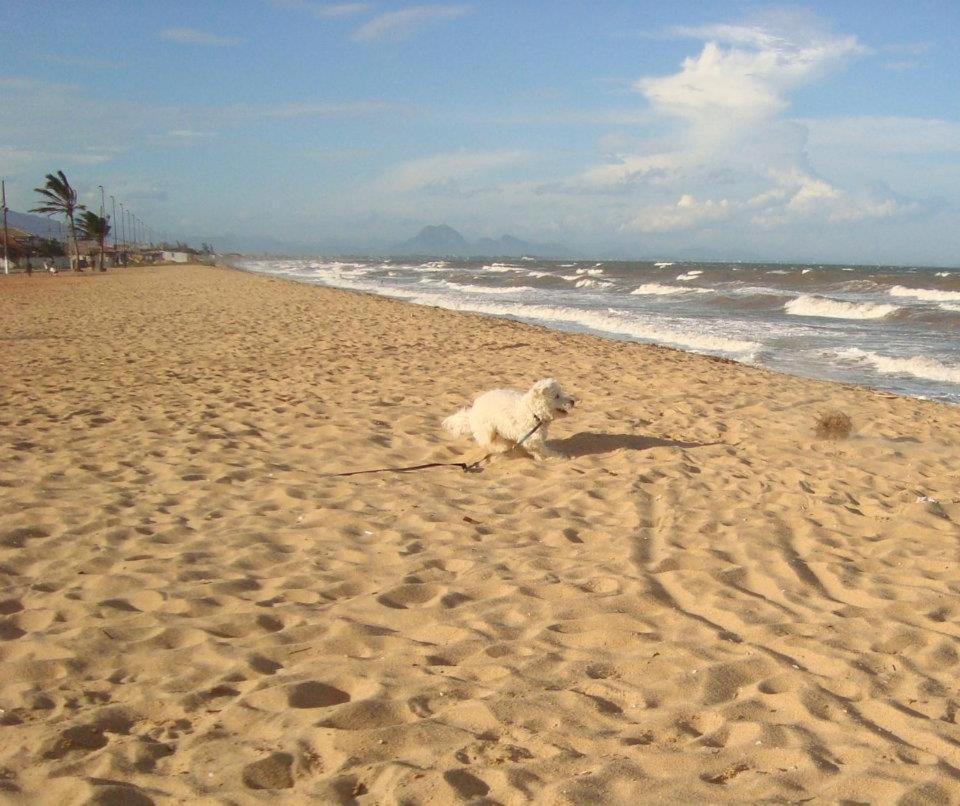 Casa De Praia - Verao Vermelho I - Cabo Frio - Unamar Extérieur photo